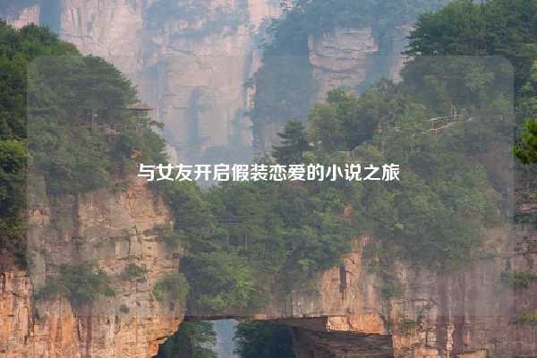 与女友开启假装恋爱的小说之旅