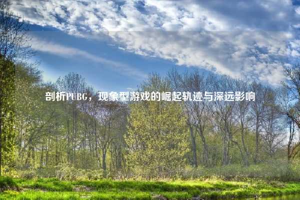剖析PUBG,现象型游戏的崛起轨迹与深远影响