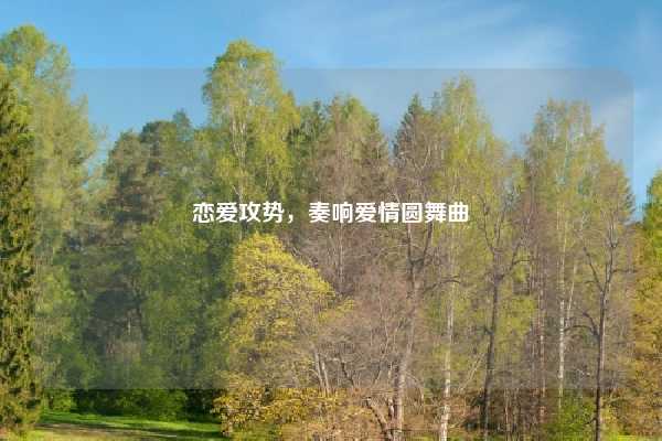 恋爱攻势,奏响爱情圆舞曲