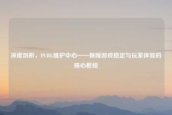 深度剖析，PUBG维护中心——保障游戏稳定与玩家体验的核心枢纽