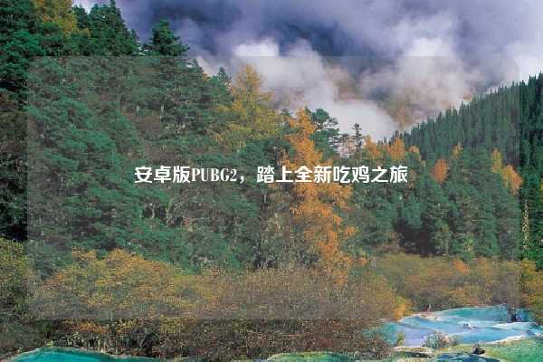 安卓版PUBG2，踏上全新吃鸡之旅