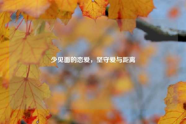 少见面的恋爱，坚守爱与距离