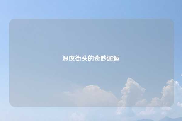 深夜街头的奇妙邂逅