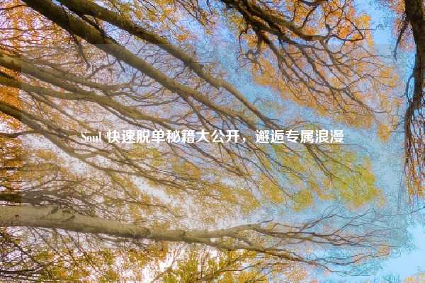 Soul 快速脱单秘籍大公开，邂逅专属浪漫