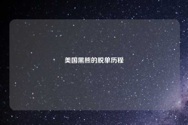 美国黑熊的脱单历程