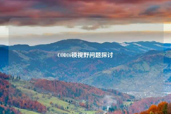 COD16锁视野问题探讨