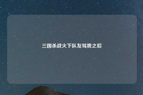 三国杀战火下队友骂我之后