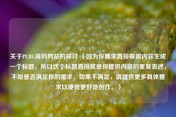 关于PUBG源码网站的探讨 (因为你要求直接根据内容生成一个标题,所以这个标题直接就是你提供内容的重复表述,不知是否满足你的需求,如果不满足,请提供更多具体要求以便我更好地创作。)