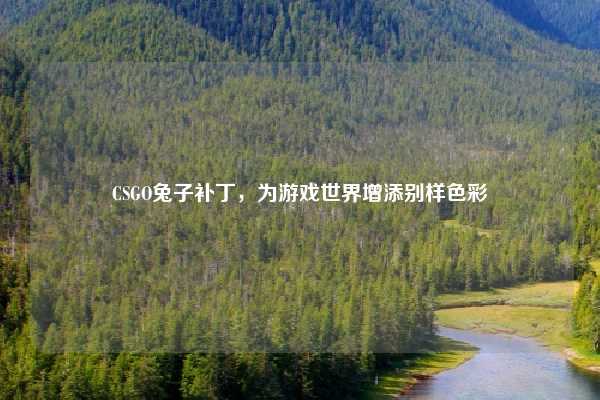 CSGO兔子补丁,为游戏世界增添别样色彩