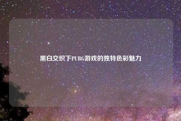 黑白交织下PUBG游戏的独特色彩魅力