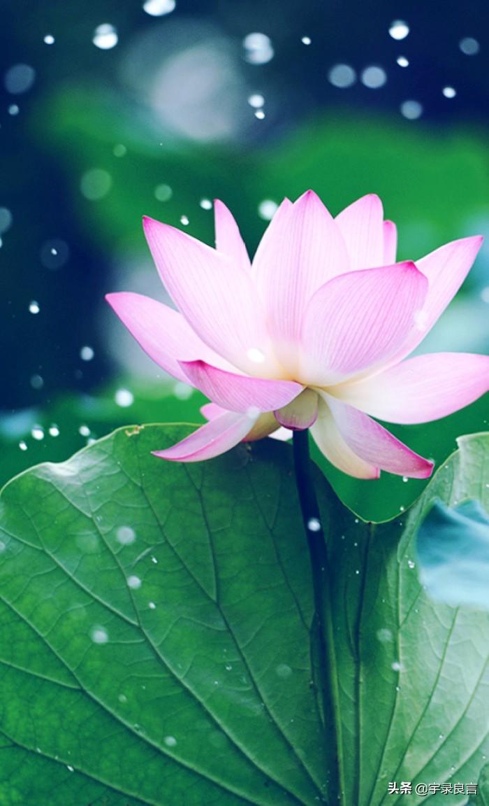 深入人心的感情句子(形容歌词深入人心句子)