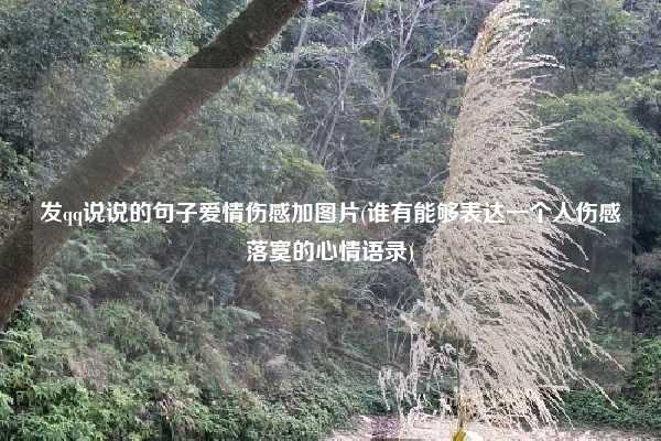 发qq说说的句子爱情伤感加图片(谁有能够表达一个人伤感落寞的心情语录)