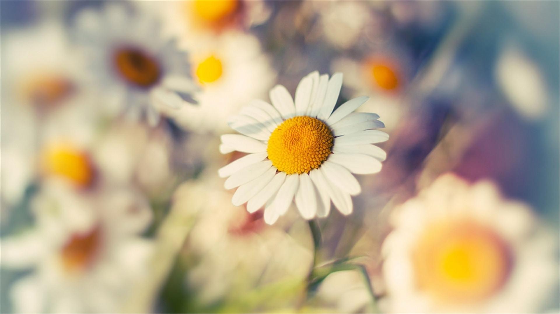 个性签名女生简单气质有内涵(女生的个性签名很励志什么特点)