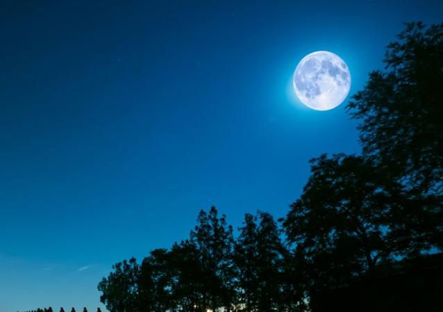 七字伤感短句(老字开头七字诗句)