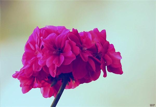 个性签名有内涵有深度简短(情侣个性签名一对简短高级感)