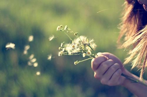 伤感爱情的短句子(伤感追人爱情句子)