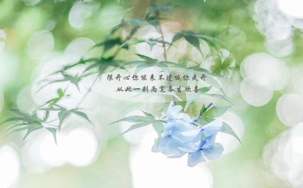 伤心难过的句子说说心情发朋友圈(被老师批评很难过怎么办)