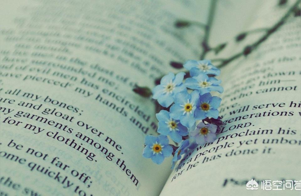 个性签名简短英文(有哪些好听易学的经典英文歌曲推荐)