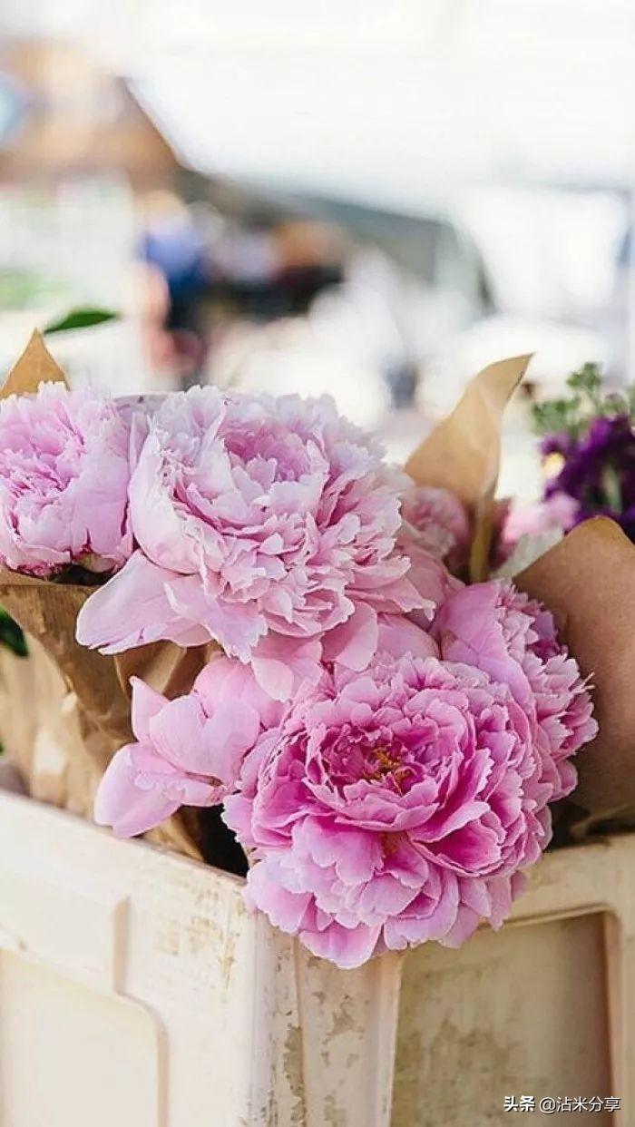 伤感爱情短句(怎样的情话能打动女朋友)