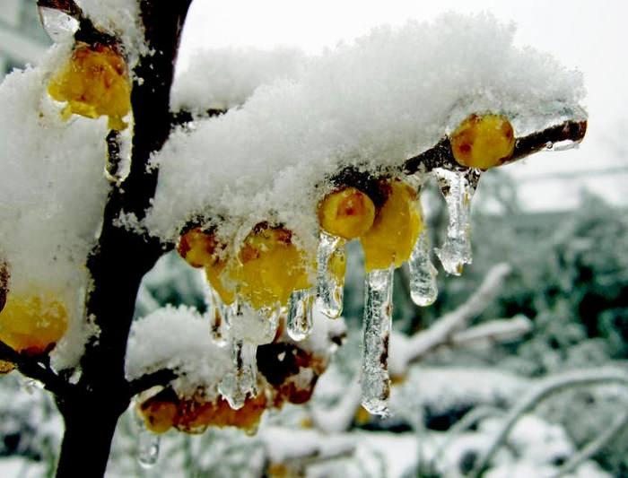 深入人心的感情句子(你见过最走心的广告文案是哪一句)