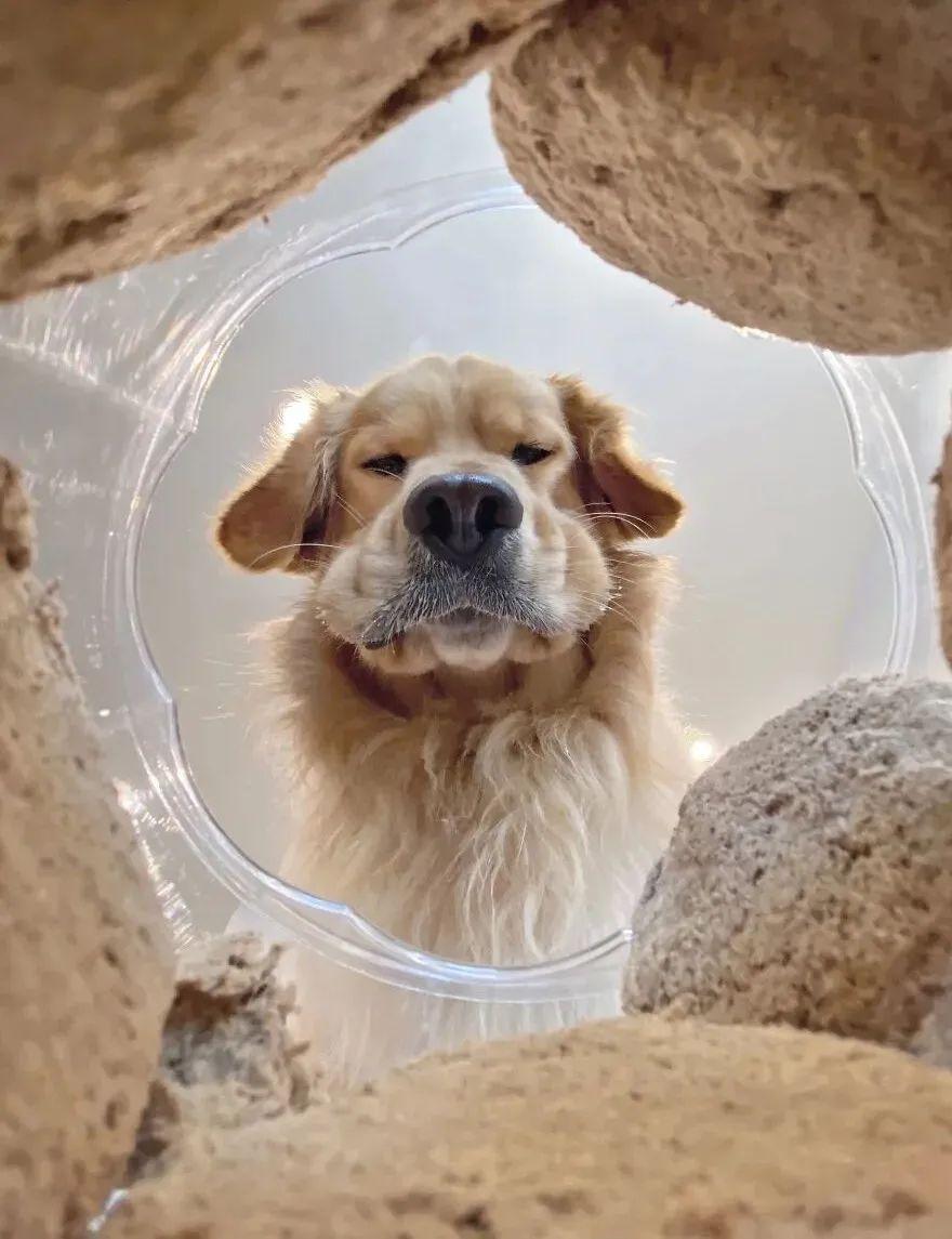 2020搞笑精辟语录(2020最佳幽默段子文)