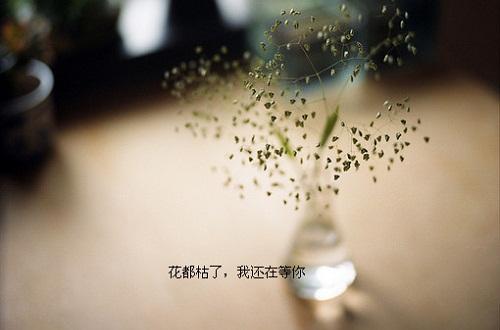 伤感十二个字(可以说一句你认为悲伤至极的话么)