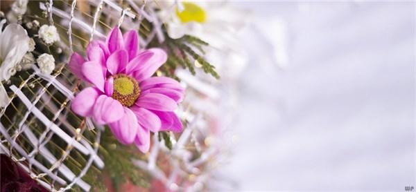 个性签名简短气质(跟朋友说气质开心句子)