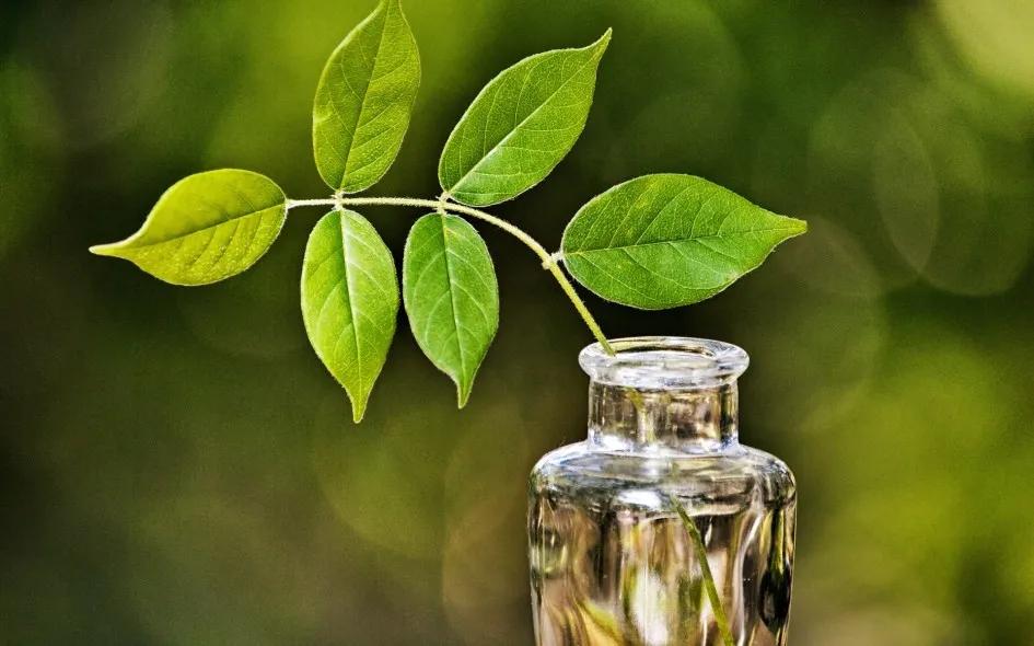 女人阳光的句子(要形容一个长得丑的女生好看)