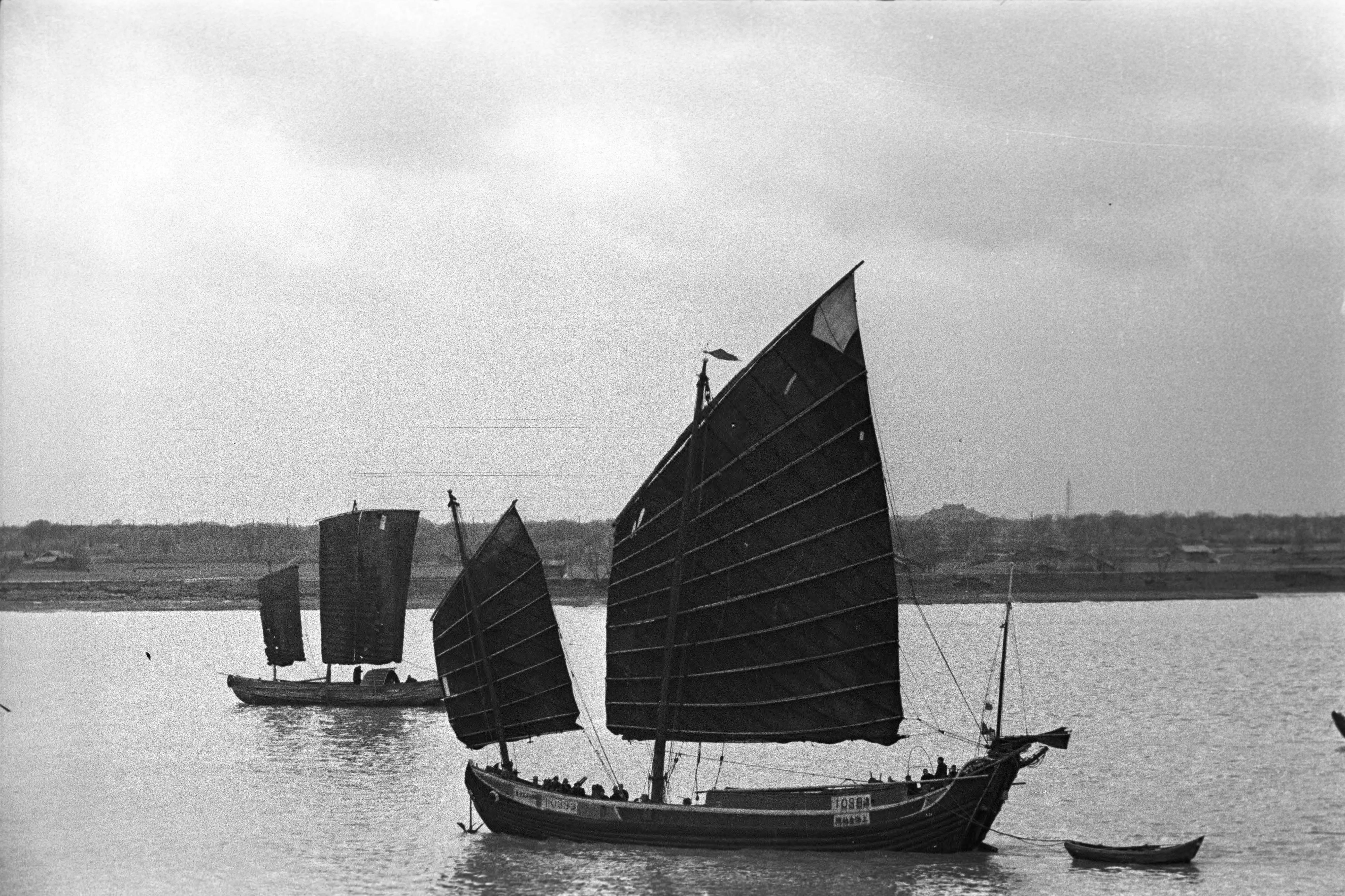 爱情小说大全免费阅读流氓的(有关于女同性恋的小说吗)