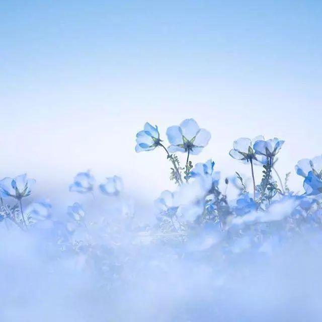 个性签名短句(单身个性签名短句干净)