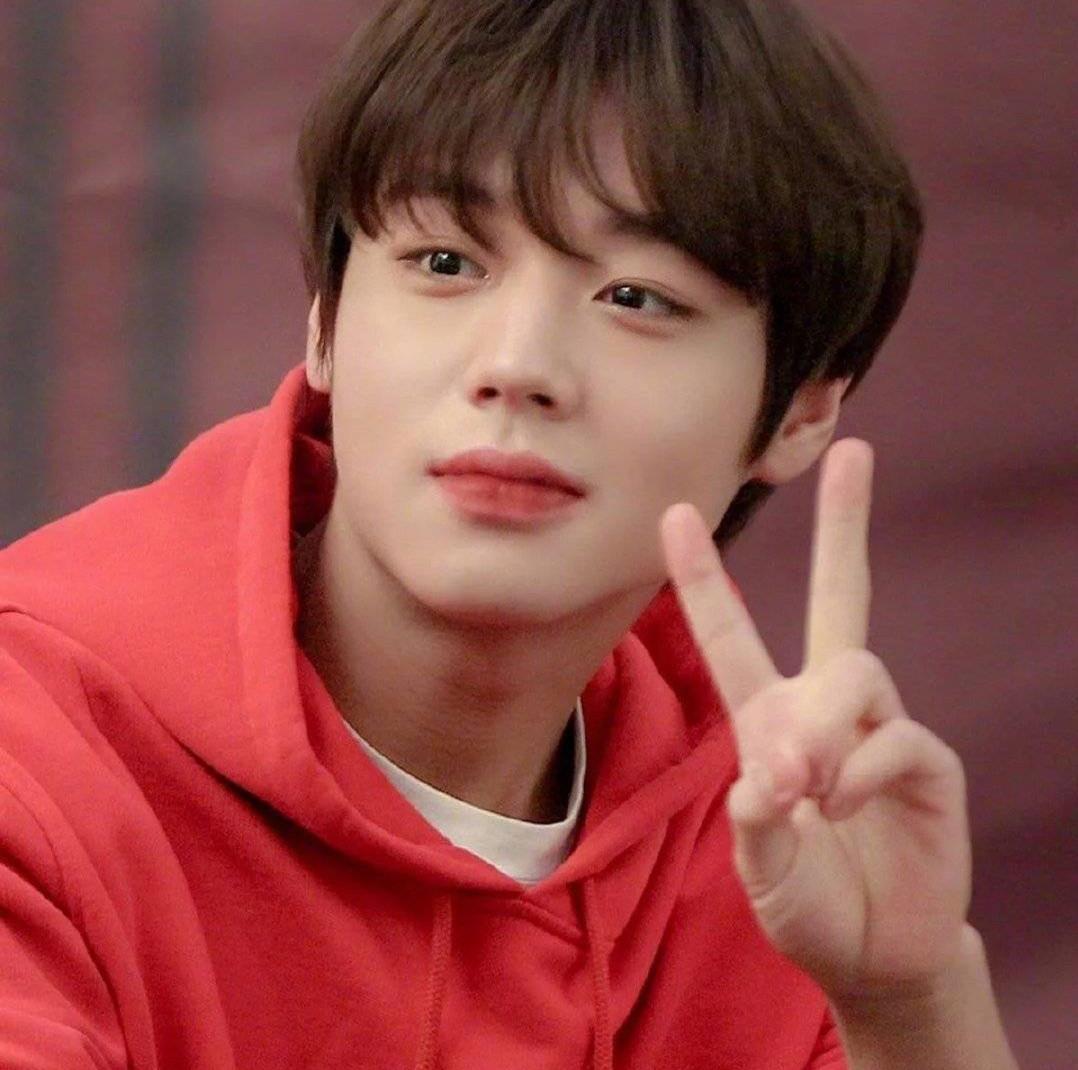 土味情话一问一答(不容易猜到的土味情话)