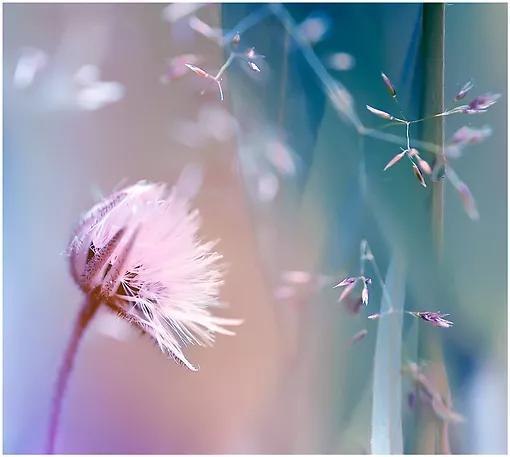 心情说说大全(暴走的心情说说)