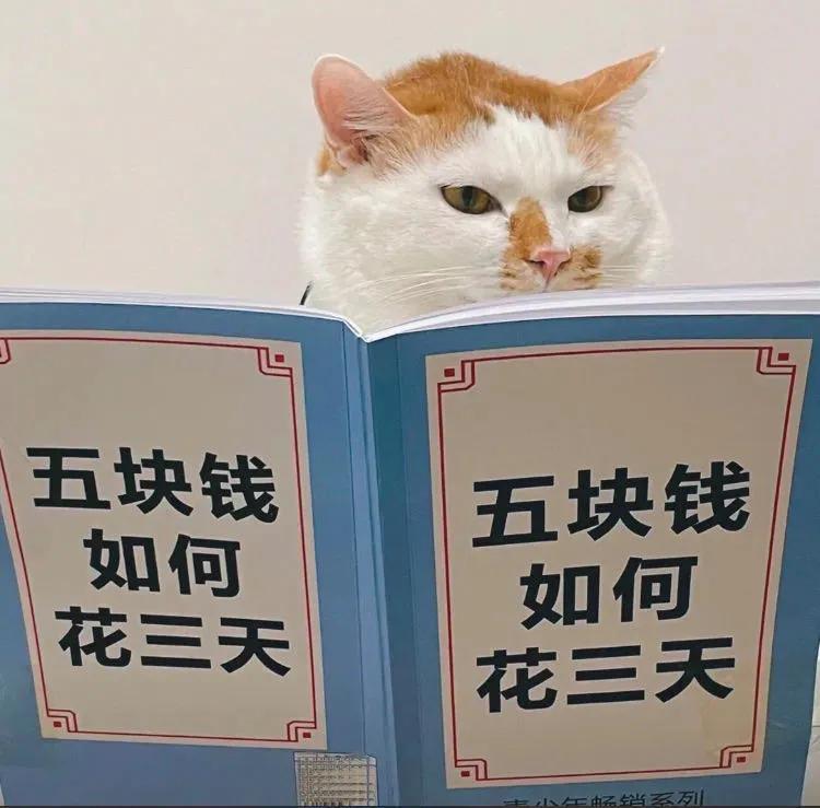 搞笑的文案语录(什么生活配什么音搞笑文案)