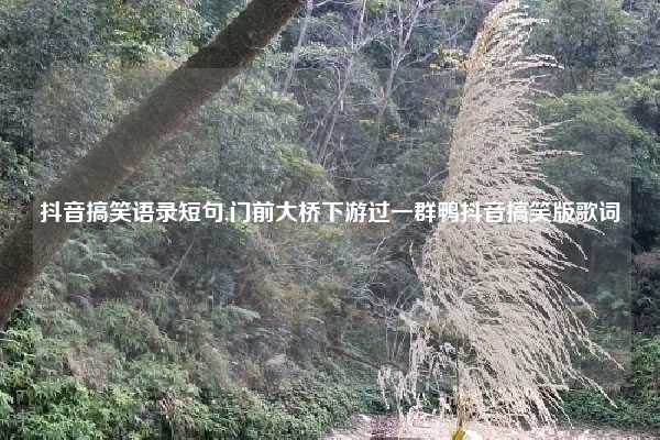 抖音搞笑语录短句,门前大桥下游过一群鸭抖音搞笑版歌词