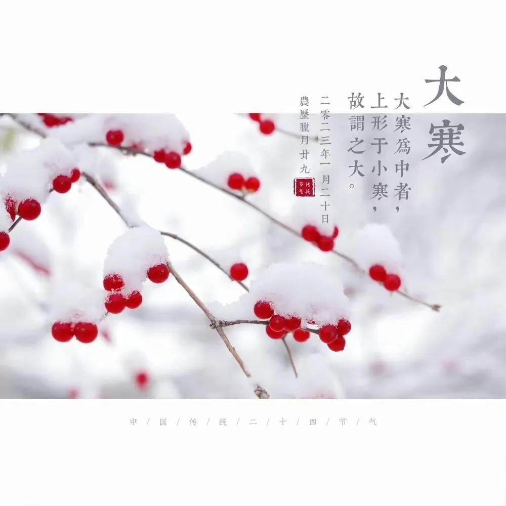 文案短句干净治愈2023(2023公司励志文案)