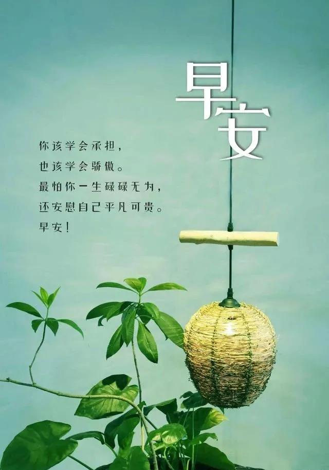 唯美的句子(关于满的优美句子)