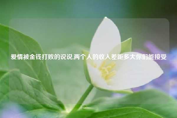 爱情被金钱打败的说说,两个人的收入差距多大你们能接受