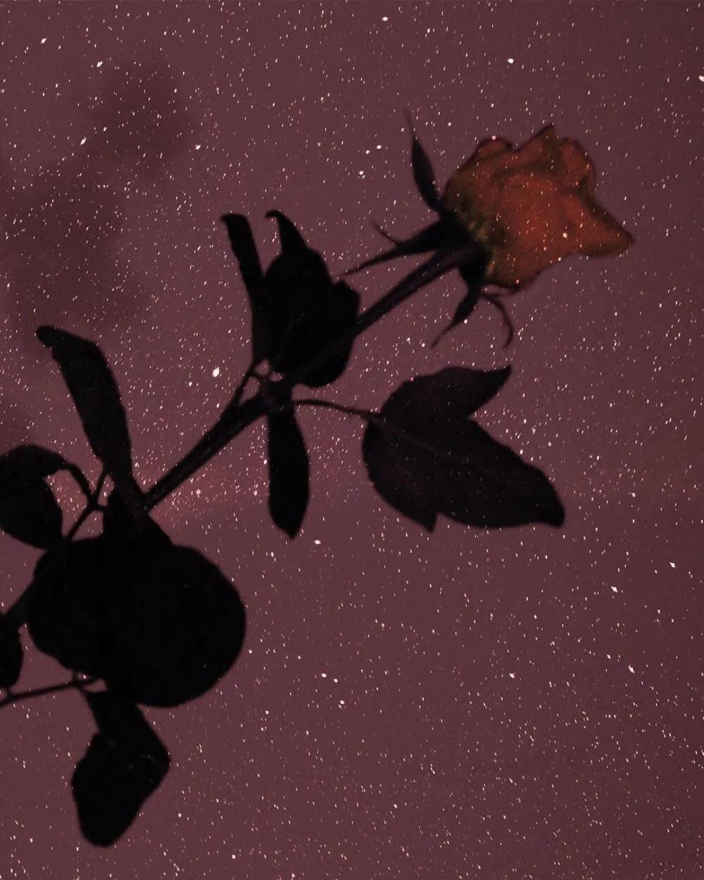 微信签名微信个性签名2020(双引号都看不懂的人)