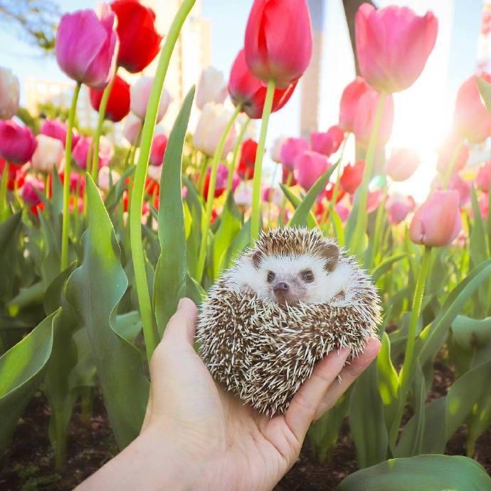 文案短句高质量(520文案短句仪式感高质量)