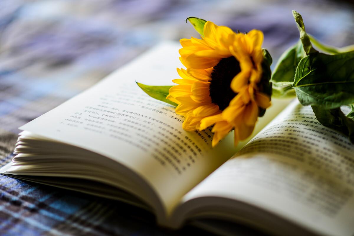 语录短句(郑强教授有哪些经典语录)