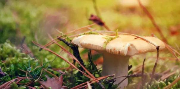 简短心情致自己(即将退休的我们想对自己说什么)