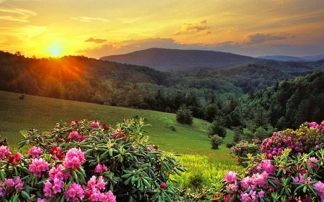 心情说说感悟生活短句(思念一个人的心情短语有哪些)