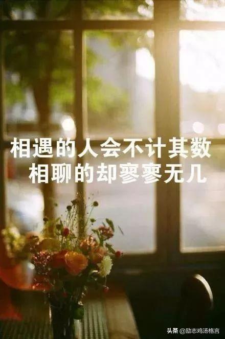 语录大全 人生感悟(人生感悟精辟句子)