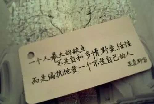 伤感的话看了会哭短句(有哪些讽刺性的短句推荐)