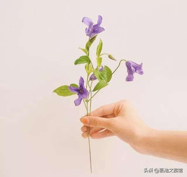 最火情感文案(特殊寓意爱情文案)