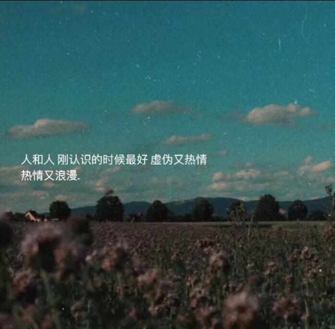 心酸到爆的扎心文案(怨气太重的文案)