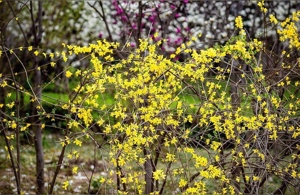 2020年微信签名(2021年1月1日实施的司法解释)