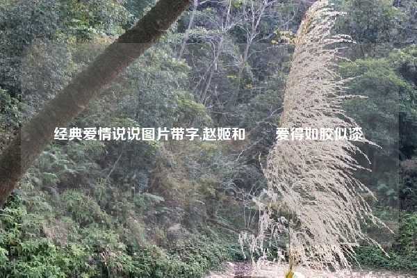 经典爱情说说图片带字,赵姬和嫪毐爱得如胶似漆