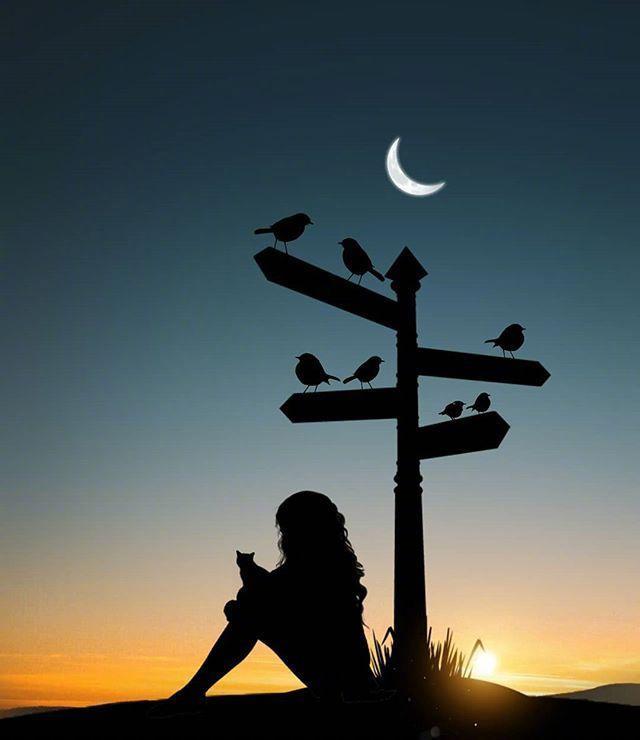 伤感说说(自尊心受挫的伤感句子)