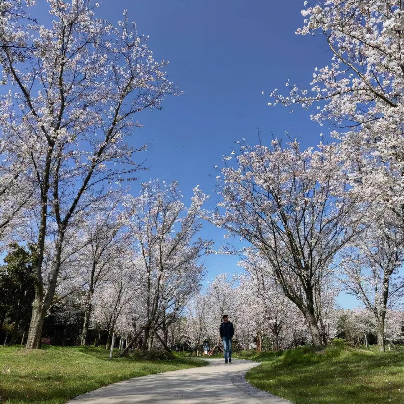 爱情文案长文(丈量爱情文案)